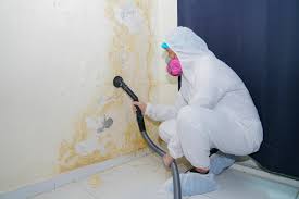 Best Mold Remediation for Healthcare Facilities in USA